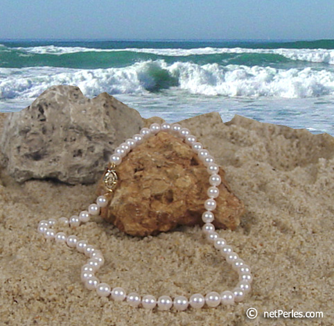 Collar Perlas de Akoya 45 cm, 7-7.5 mm, blancas AAA