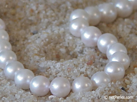 Collar Perlas de Akoya 45 cm, 7.5-8 mm, blancas AA+