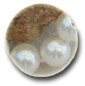 Collar Perlas de Akoya 45 cm 8-8.5 mm, blancas AAA