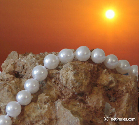 Collar Perlas de Akoya 40 cm, 7-7.5 mm, blancas AA+