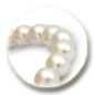 Pulsera Perlas de Akoya 18 cm 7-7.5 mm, blancas, AA+