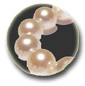 Aderezo 3 joyas de perlas de Akoya 7-7.5 mm blancas AAA
