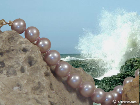 Collar Perlas de Agua Dulce, 45 cm, 8-9 mm, lavanda, AAA