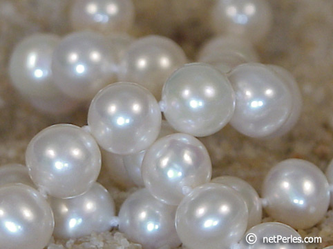 Collar Perlas de Agua Dulce, 45 cm, 9-10 mm, blancas, AA+
