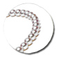 Collar Perlas de Akoya Hanadama 45 cm 7.5-8 mm, blancas